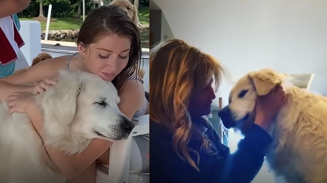 14-year old, Golden Retriever spreads Love with “surprise visits”