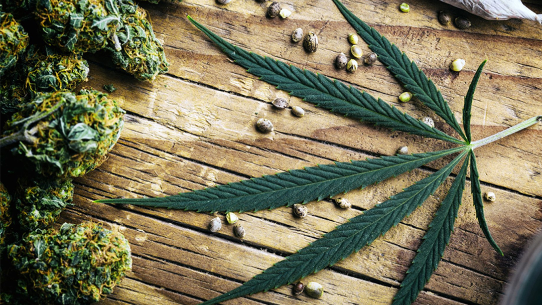 Weed, the Poster Child of all Drugs