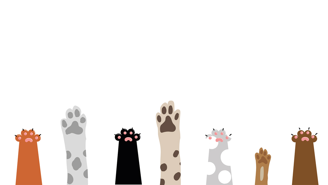 Pet owners could soon find themselves in jail in this country.